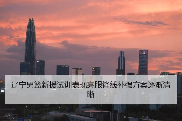 辽宁男篮新援试训表现亮眼锋线补强方案逐渐清晰