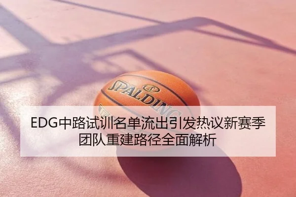 EDG中路试训名单流出引发热议新赛季团队重建路径全面解析